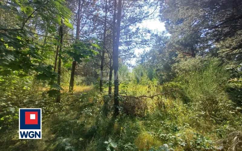 Działka na sprzedaż Kruszyny Szlacheckie